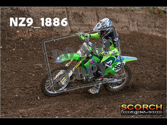 Experts-106