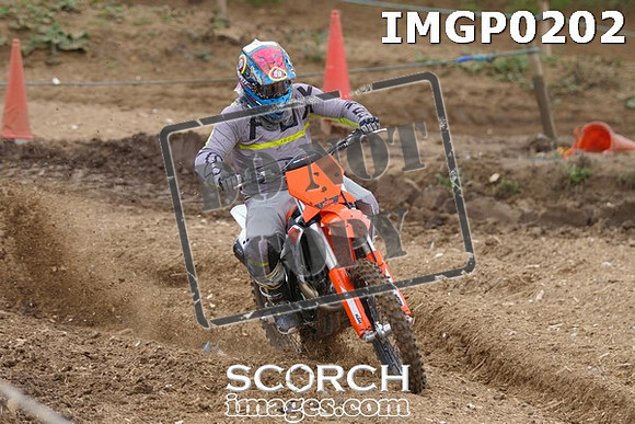 IMGP0202