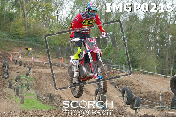 IMGP0215