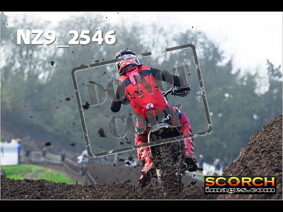 Experts-132