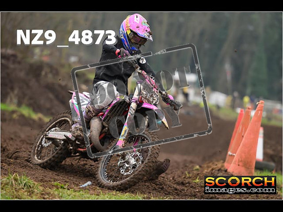 Experts-348
