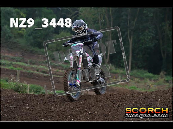 Experts-105