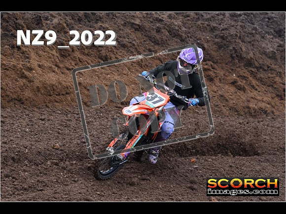 Experts-083