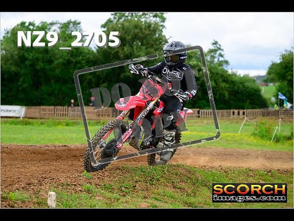 Novice-294