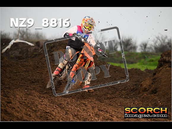 Experts-109