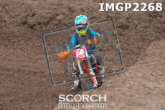 IMGP2268