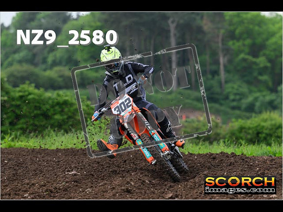 Experts-028
