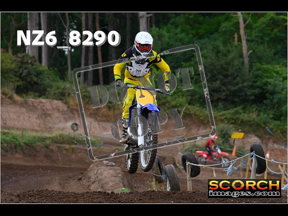 Experts-048