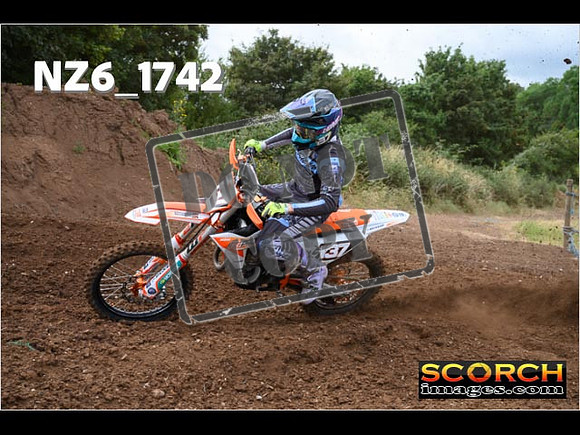 Experts-058
