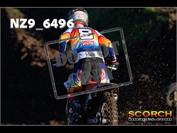Experts-031