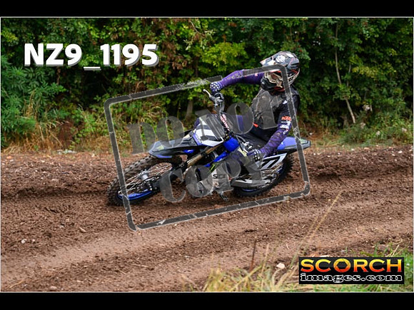 Experts-074