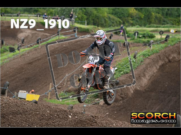 Experts-129