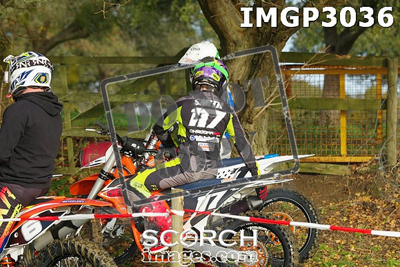 IMGP3036