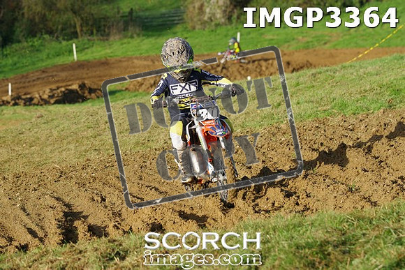 IMGP3364