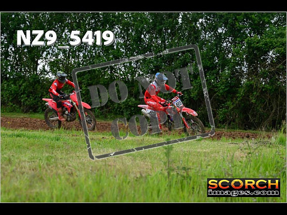 Experts-351