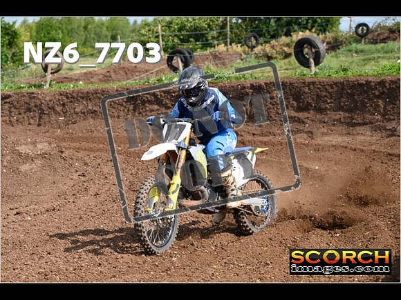 Experts-083