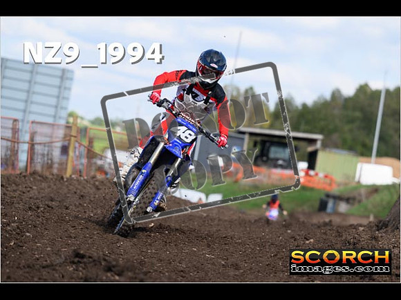 Experts-337