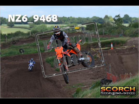 Experts-233