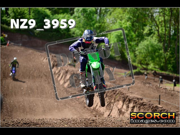 InterGreen-241