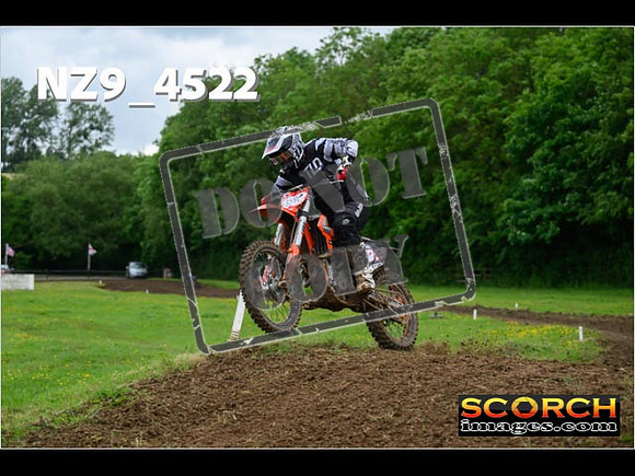 Experts-239