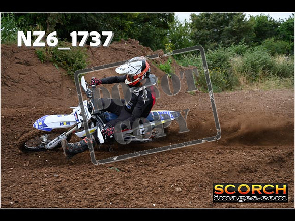 Experts-053