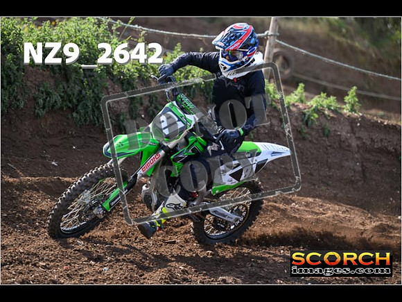 IntersGreenOrange-042