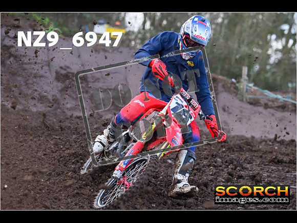 Experts-061