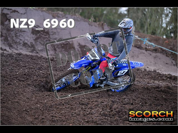 Experts-074
