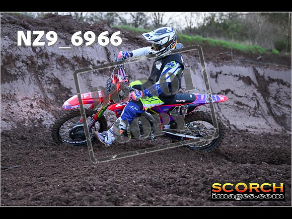 Experts-079