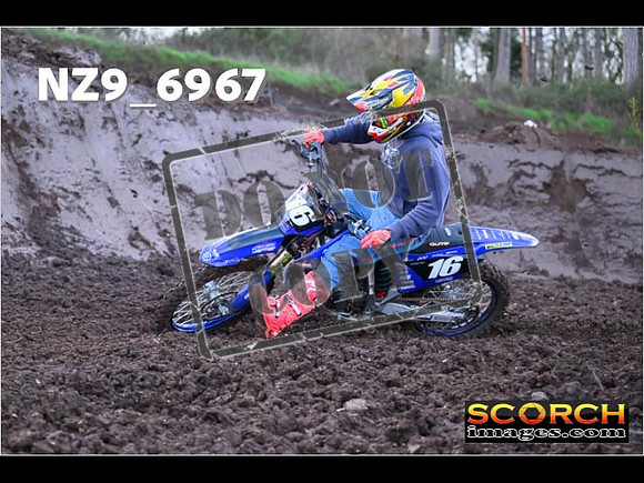Experts-080