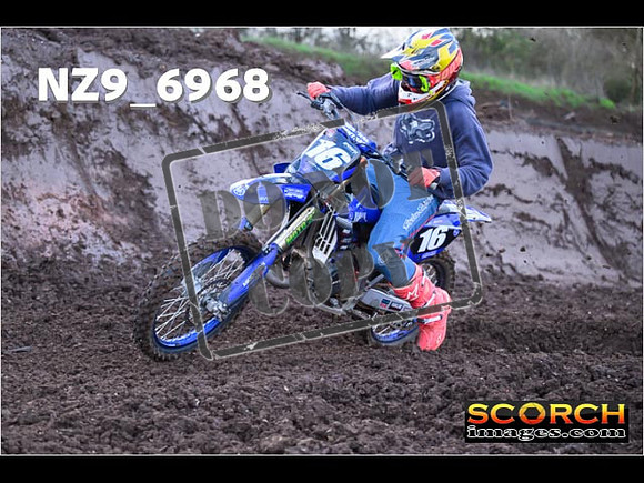 Experts-081