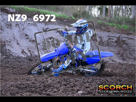 Experts-085