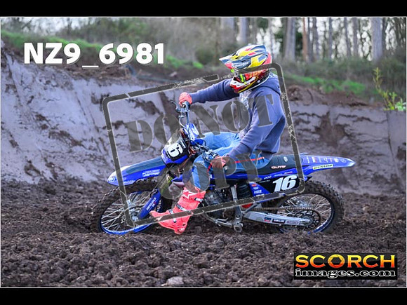 Experts-094