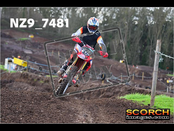 Experts-118