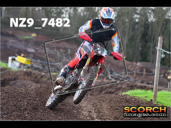 Experts-119