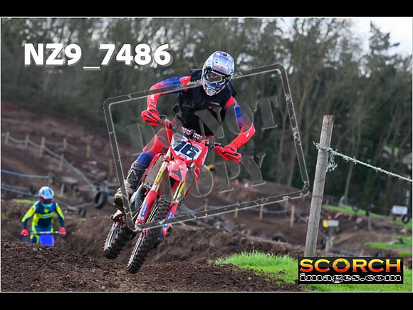 Experts-123
