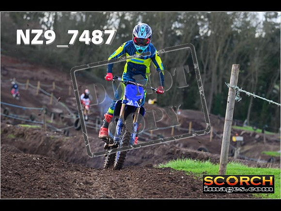Experts-124