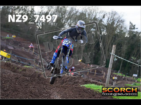 Experts-134