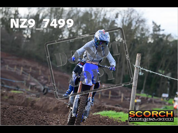 Experts-136