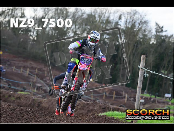Experts-137
