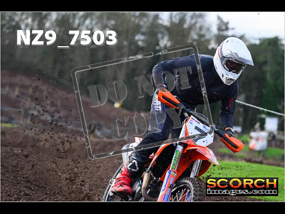 Experts-140