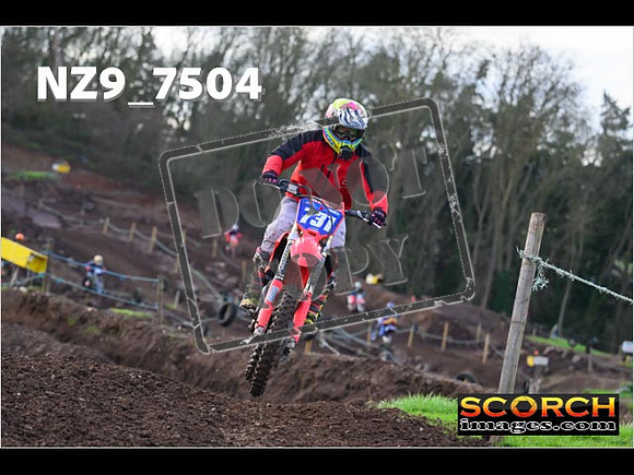 Experts-141