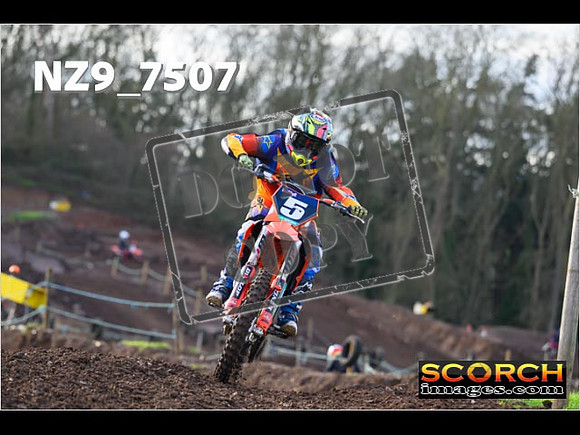 Experts-144