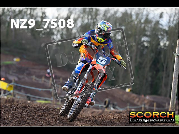 Experts-145