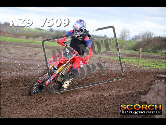 Experts-146
