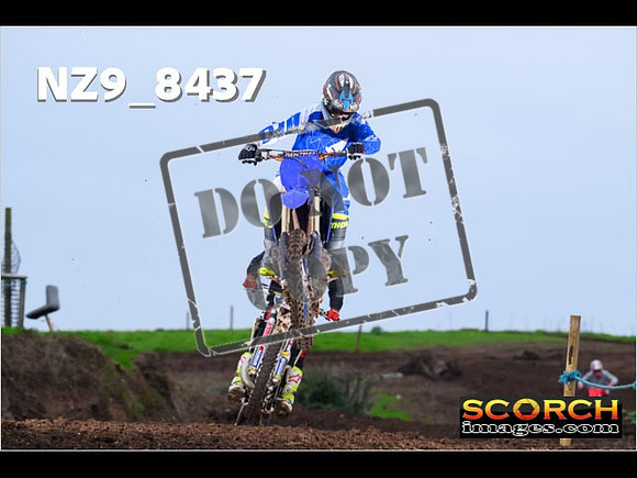 Experts-019
