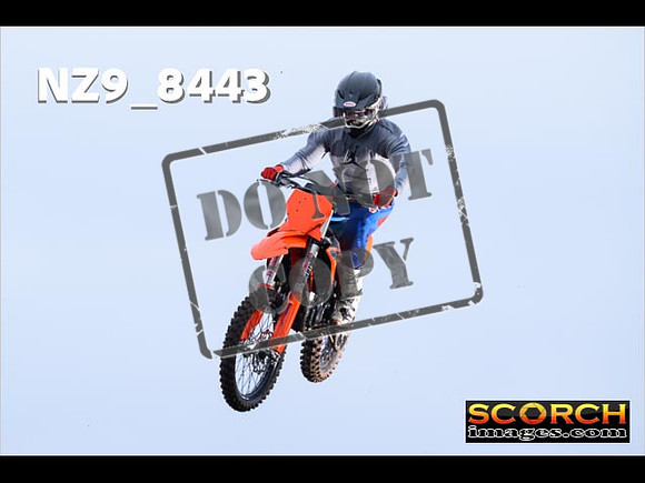 Experts-024