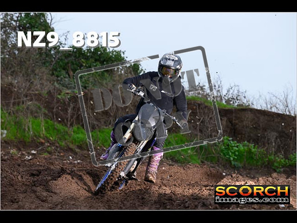 Experts-081