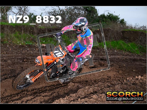 Experts-098