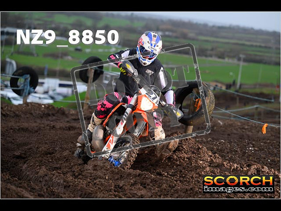 Experts-115